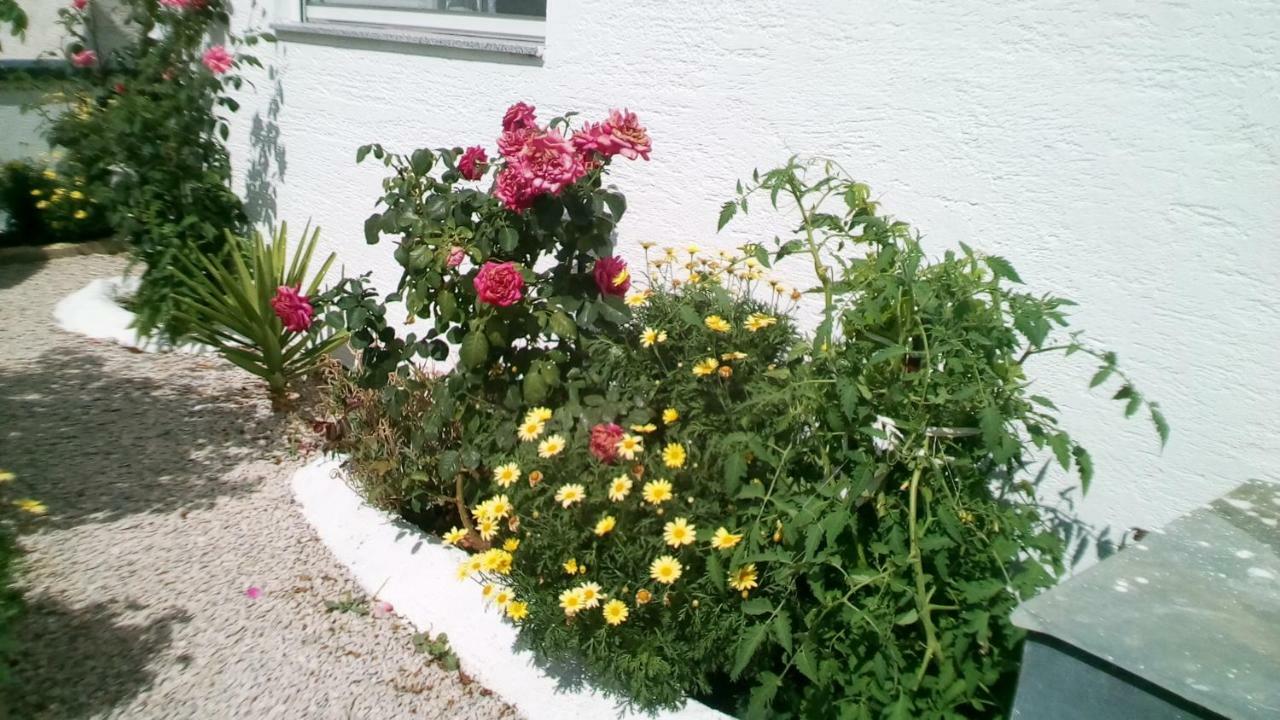 Apartment Roko Vir Kültér fotó
